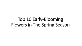 Top 10 Early-Blooming Flowers in The Spring Season