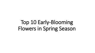 Top 10 Early-Blooming Flowers in Spring Season