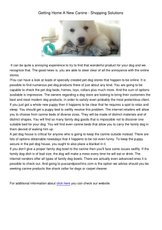 Shock Collar For Dogs