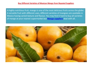 Buy Different Varieties of Mexican Mango from Reputed Suppliers