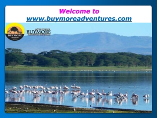 Luxury Safari in Kenya After the end of the COVID-19 Pandemic