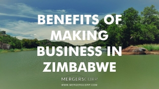 Benefits of Making Business in Zimbabwe | Buy & Sell Business