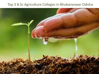 Top 3 B.Sc Agriculture Colleges in Bhubaneswar Odisha
