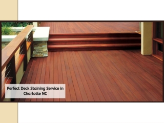 Perfect Deck Staining Service in Charlotte NC