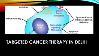 Targeted cancer therapy in Delhi