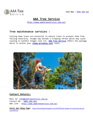 Tree Removal Company