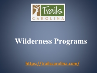 The Best Wilderness Programs At Trails Carolina