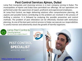 pest control company Dubai