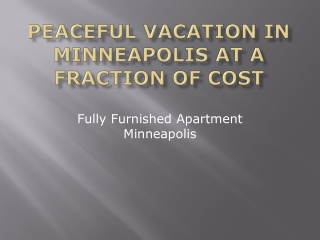 Peaceful Vacation in Minneapolis at a Fraction of Cost