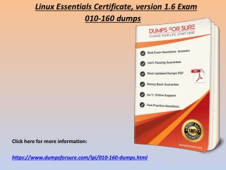 Updated LPI 010-160 Exam Questions Answers - 010-160 Dumps DumpsForSure