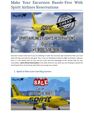 Make Your Excursion Hassle-Free With Spirit Airlines Reservations