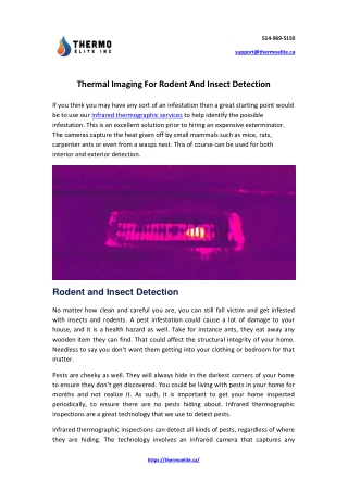 Thermal Imaging For Rodent And Insect Detection