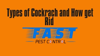 Types of Cockrach and How Get Rid