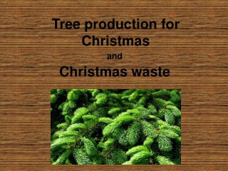 Tree production for Christmas