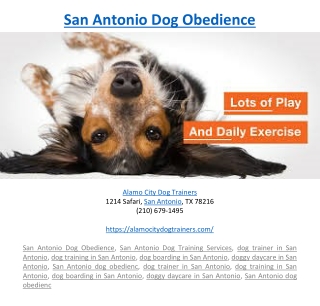San Antonio Dog Obedience