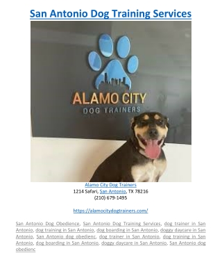 San Antonio Dog Training Services
