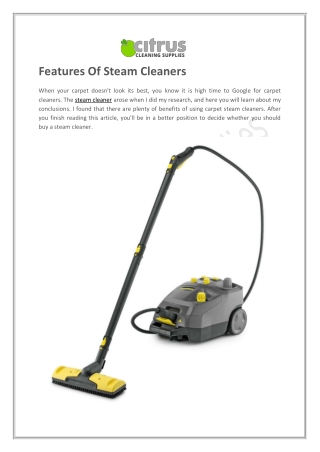 Features Of Steam Cleaners