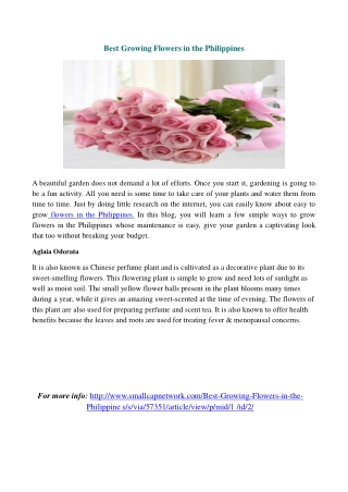 How to Choose flowers for Patient