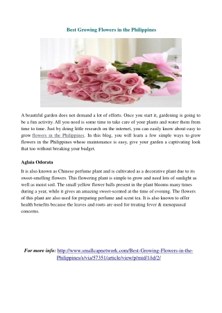 How to Choose flowers for Patient