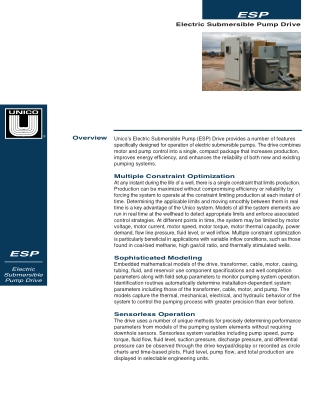 Electric Submersible Pump (ESP) Drive | Unico LLC