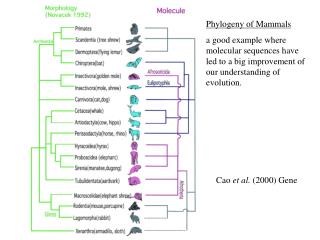 Cao et al. (2000) Gene