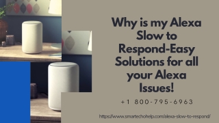 Alexa Slow to Respond 1-8007956963 Alexa Not Responding Fixes