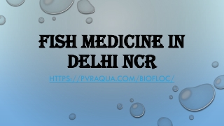 Fish Medicine in Delhi NCR