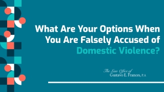 What Are Your Options When You Are Falsely Accused of Domestic Violence?