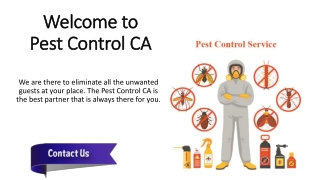 Dewey Pest Control CA offers you top notch pest control services