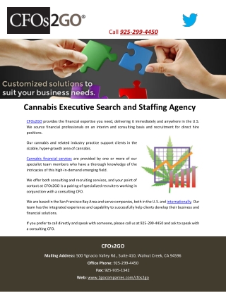 Cannabis Executive Search and Staffing Agency