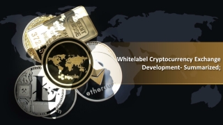 Whitelabel Cryptocurrency Exchange Development- Summarized;