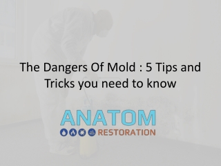 The Dangers of Mold 5 Tips and Tricks you need to know