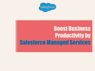 Boost Business Productivity by Salesforce Managed Services