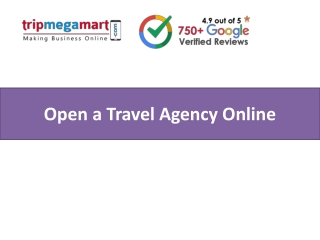 Open a Travel Agency Online