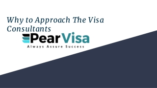 Why to Approach The Visa Consultants?