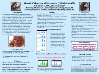 Genetic Chimerism of Marmosets ( Callithrix kuhlii ) C.N. Ross 1 , G. Ort í 1 , and J.A. French 2