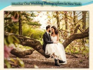 Number One Wedding Photographers in New York