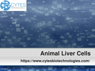 Animal Liver Cells