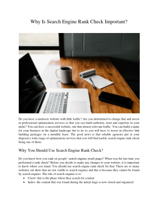 Why Is Search Engine Rank Check Important?