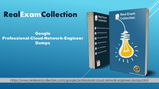 Latest Download 2020 Professional-Cloud-Network-Engineer Dumps In Just 24 Hours - RealExamCollection