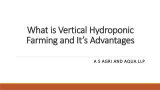 What is Vertical Hydroponic Farming and It’s Advantages