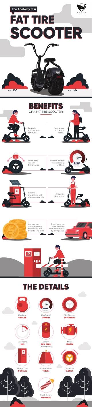 The Anatomy of a Fat Tire Scooter