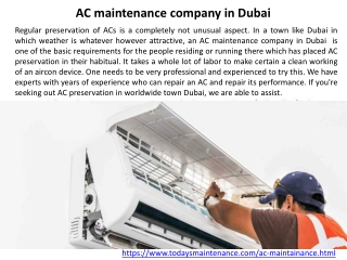 Cockroach Removal Dubai - Todaysmaintenance