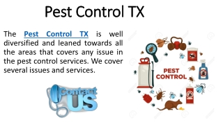 Remove pest Through The Services of Pest Control Pasadena TX