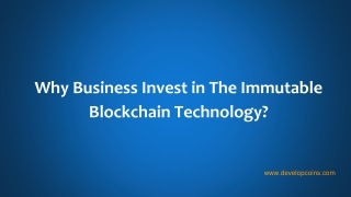 Why Business Invest in The Immutable Blockchain Technology?
