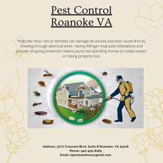 Pest Control Roanoke VA | Killinger Pest Solutions