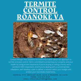 Termite Control Roanoke VA | Killinger Pest Solutions