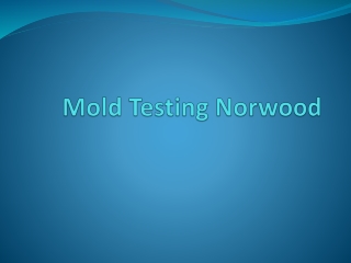 Mold Testing Norwood