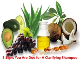 5 Signs You Are Due for A Clarifying Shampoo