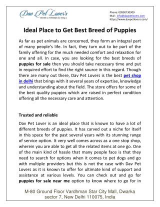 Ideal Place To Get Best Breed Of Puppies